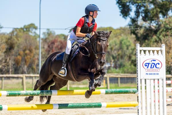 Key Dates Banner Photo