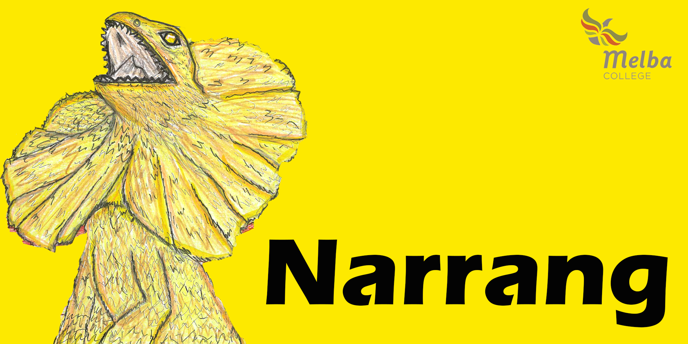 Banner Photo
