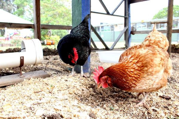 Valkstone Information Banner Photo