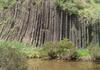 Organ Pipes Excursion Banner Photo