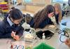 Yr 8 & 9 SEAL excursion Banner Photo