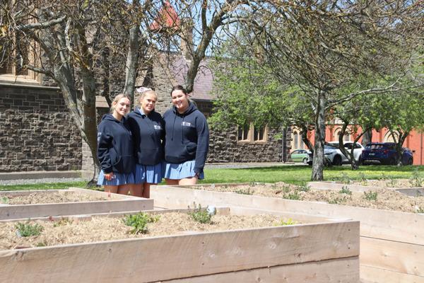 VCE-VM News Banner Photo