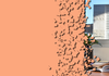 Careers News Banner Photo