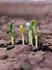 7 Careers that didn't exist 10 years ago Banner Photo