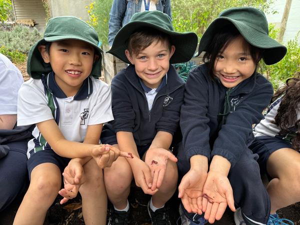 Primary Happenings Banner Photo