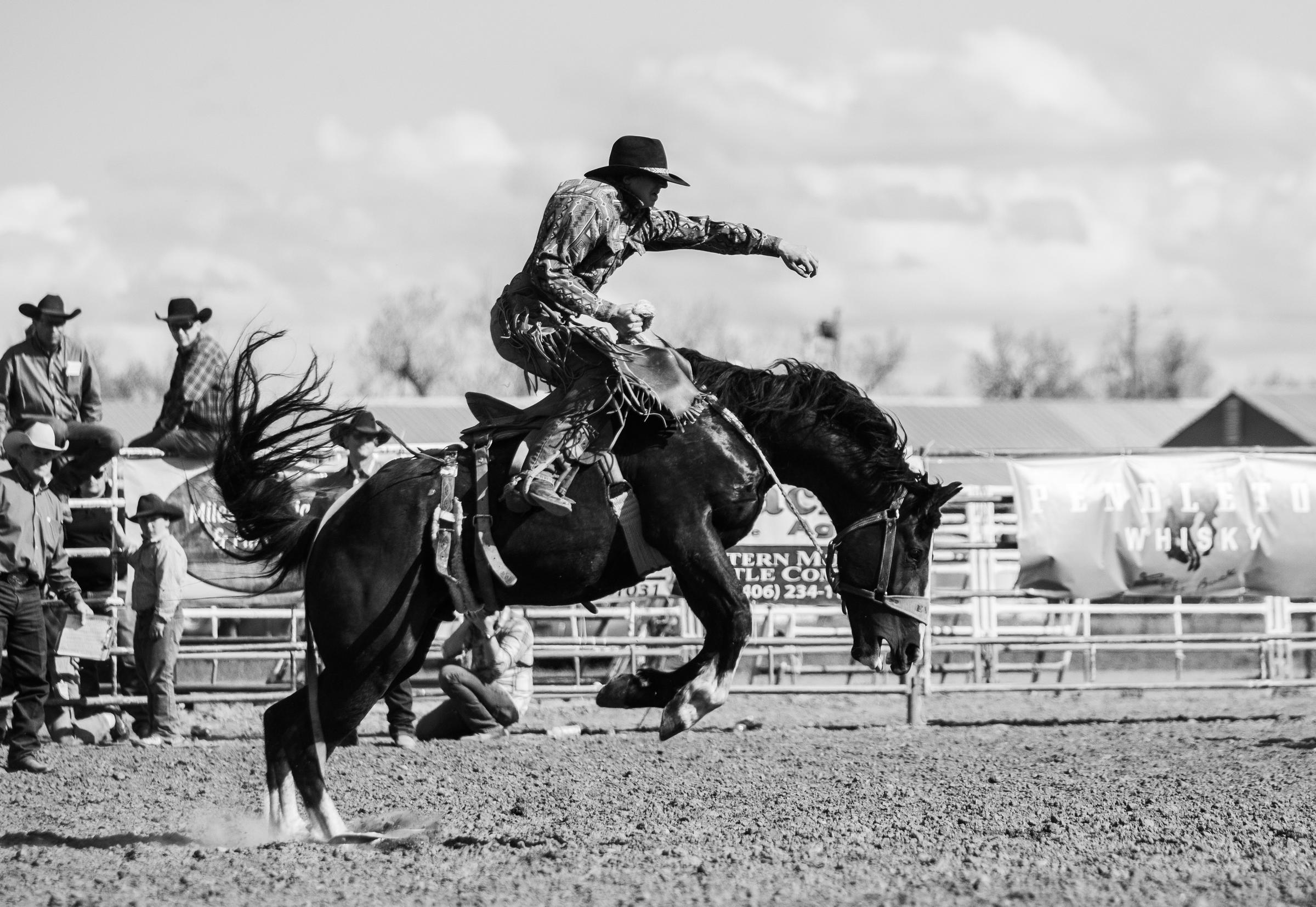 Rodeo Round-Up Banner Photo