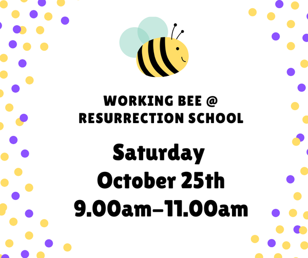 Working Bee Banner Photo