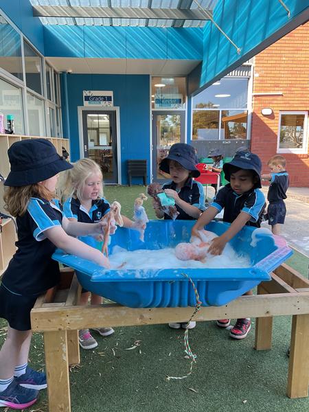 Kinder| Saplings Banner Photo