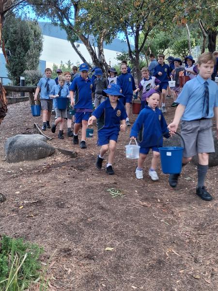 Head of Junior School  Banner Photo