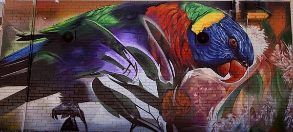 Montessori Banner Photo