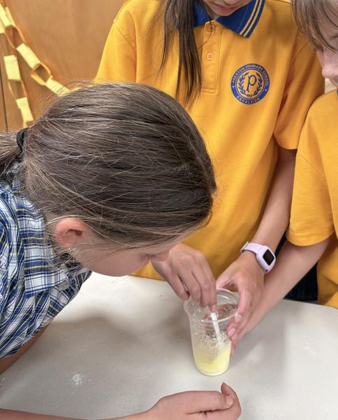 Grade 5 Report Banner Photo