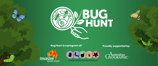 Autumn Backyard Bug Hunt! Banner Photo