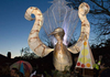 Lantern Festival Banner Photo