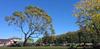 Junior School, South Plympton Banner Photo