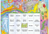 2026 Book Bingo Banner Photo