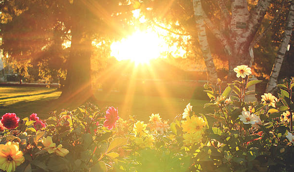 Upcoming Calendar Events Banner Photo