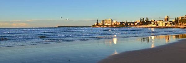 Community Notices Banner Photo