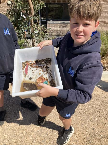 LIKE MINDS Banner Photo