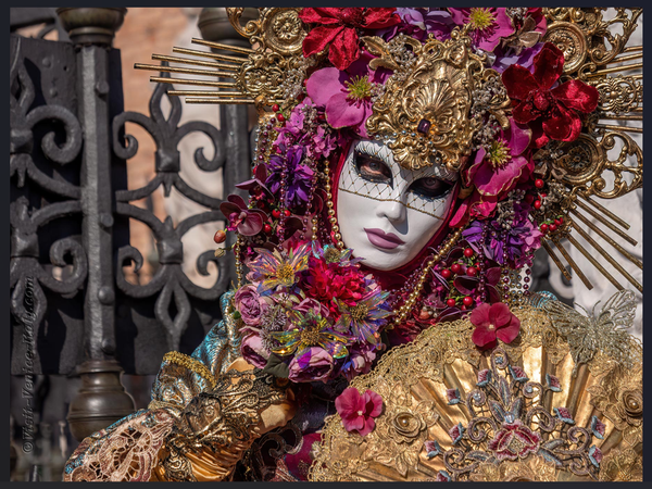 Italian Term 1 Newsletter Banner Photo