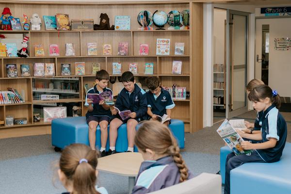 Library Banner Photo