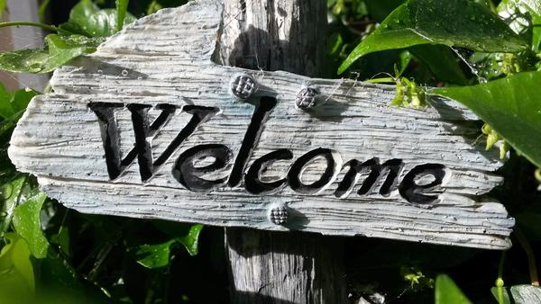 Welcome to Term 3 Banner Photo