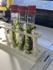 STEM/ Science News Banner Photo