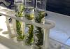 STEM/ Science News Banner Photo