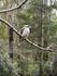 3/4 Camp Toolangi Banner Photo