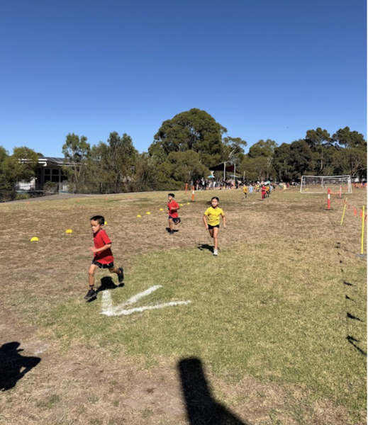 House Cross Country  Banner Photo