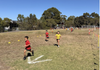House Cross Country Banner Photo