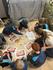 Prep  | Bluegum Banner Photo