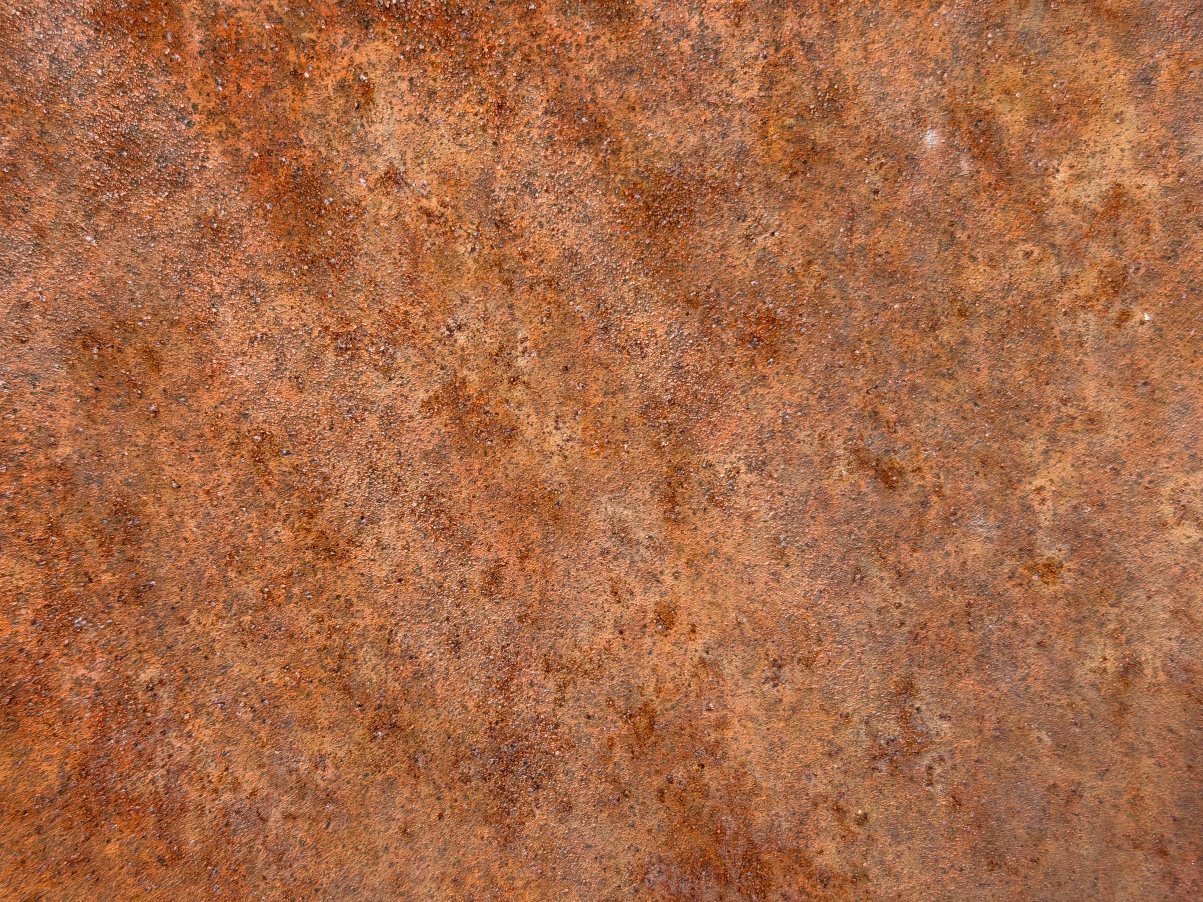Banner Photo