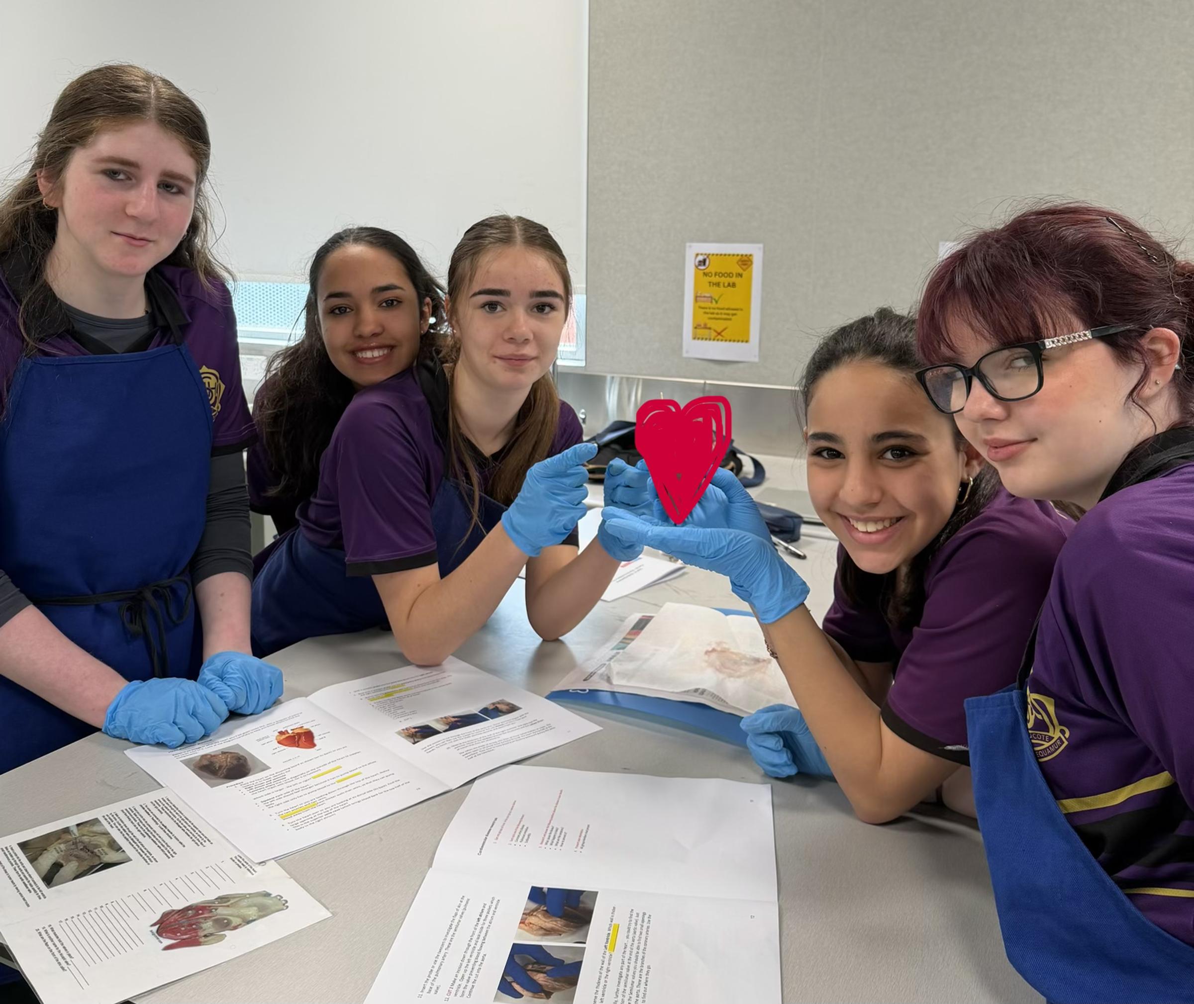 Year 8 Science Banner Photo