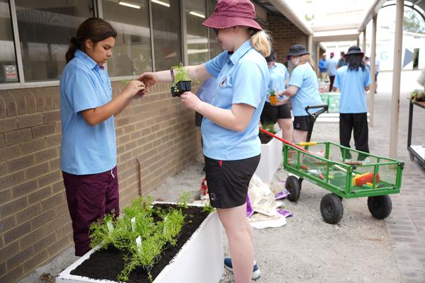 VET and Careers Banner Photo