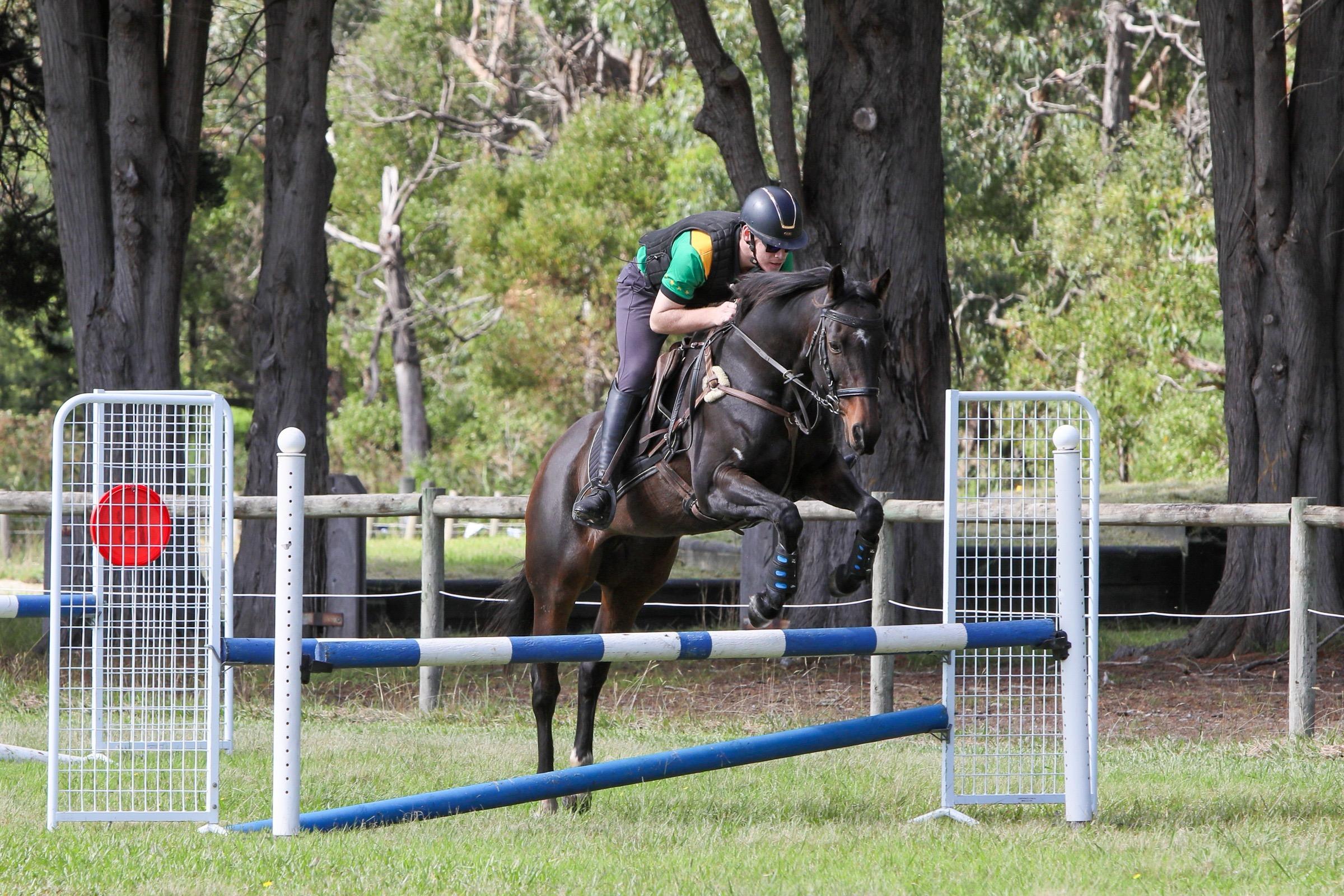 Ranvet's Vipa Giveaway For Australian Pony Clubs Banner Photo