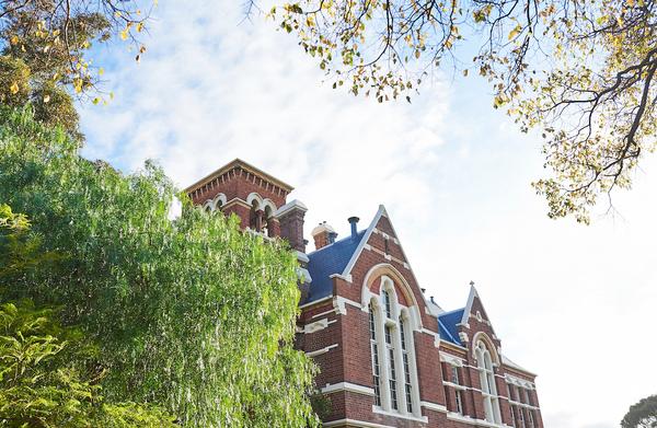 Susan Bishop Banner Photo