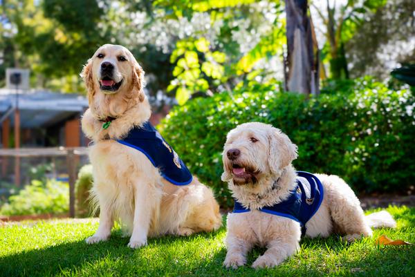 Child Safety & Wellbeing Banner Photo
