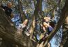 Endeavour House News Banner Photo