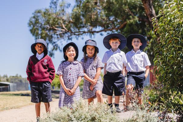 From the Head of Primary's Desk Banner Photo