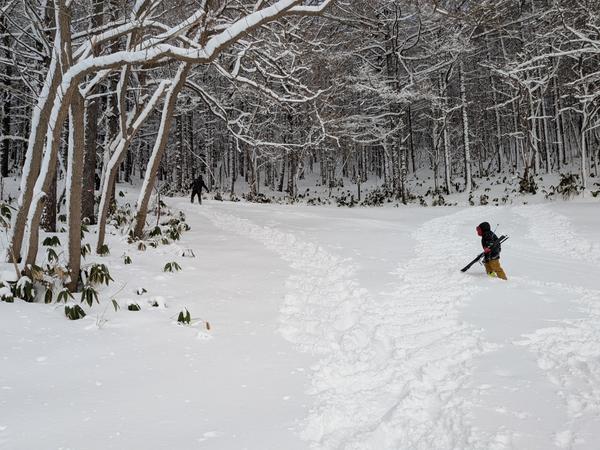 日本語　Japanese Banner Photo