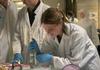 Year 12 Biology Banner Photo