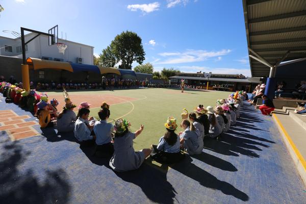 Primary News Banner Photo