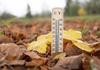 Stay Toasty, Stay Healthy: Autumn Wellness Tips Banner Photo