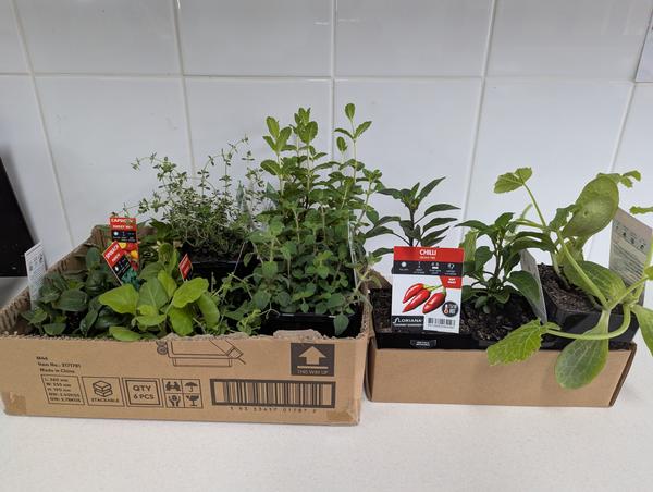 Kitchen Garden Banner Photo