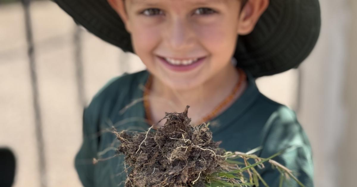 Clifton Hill Primary School Issue 4 clifton-hill-primary-school-issue-4