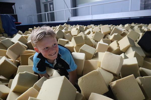 Grade 2  | Wattle Banner Photo