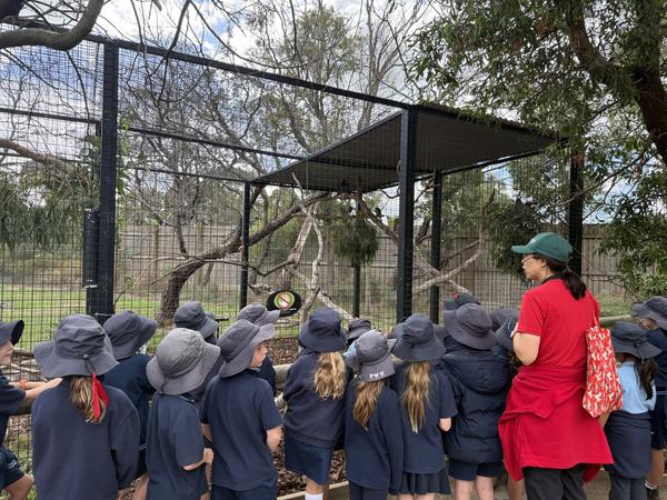 From the Acting Principal Banner Photo