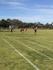 HOUSE ATHLETICS CARNIVAL Banner Photo