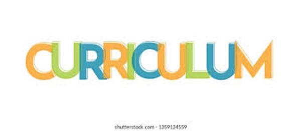 Curriculum Banner Photo