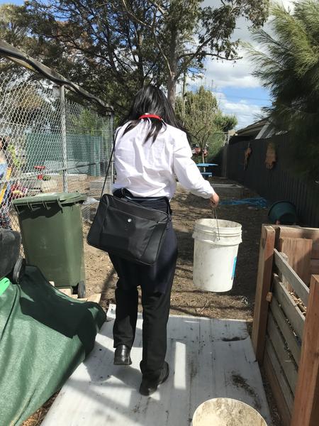 Sustainability Banner Photo